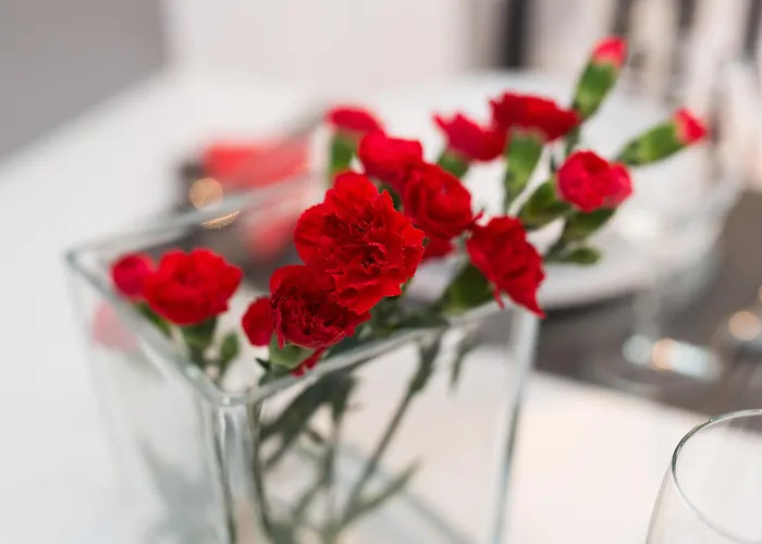 Hotel apartamentowy Happy Tower 3*